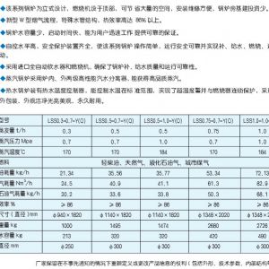 LSS立式水管全自動燃氣（油）蒸汽鍋爐