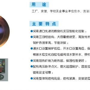 LHS-G立式燃氣（油）開水鍋爐