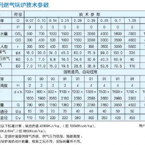 LHS-G立式燃氣（油）開水鍋爐